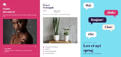 Sprogskole: hold og niveauer