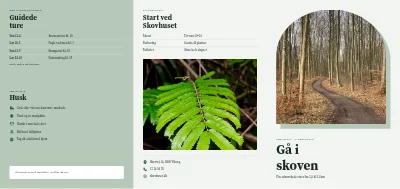 Vandreruter i skoven