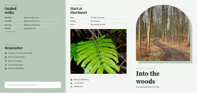 Forest walking trails