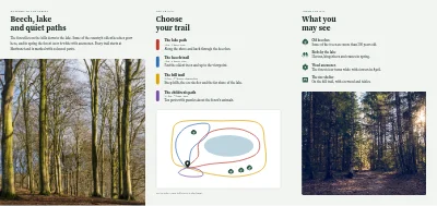 الصفحة 2 من Forest walking trails