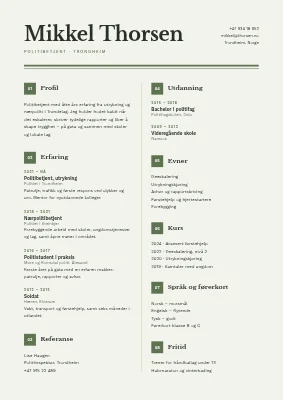 CV — politibetjent
