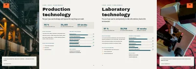 Pages 12–13 of Programme brochure for a business academy – 20 pages