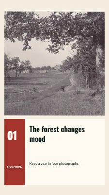 The forest changes mood · Photo ticket