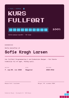 Kursbevis — programmeringskurs