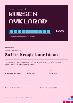 Kursintyg — programmeringskurs