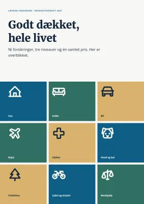 Produktoversigt for forsikringsselskab – 8 sider
