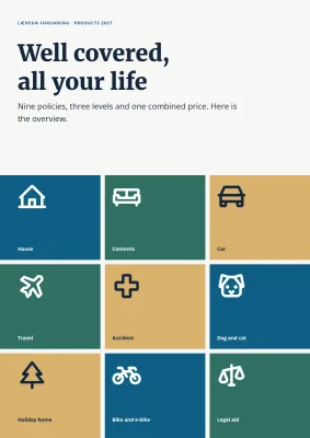 Product overview for an insurance company – 8 pages