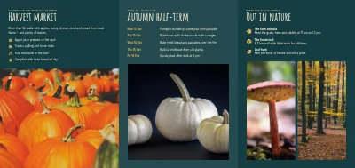 Página 2 de Harvest market and autumn half-term