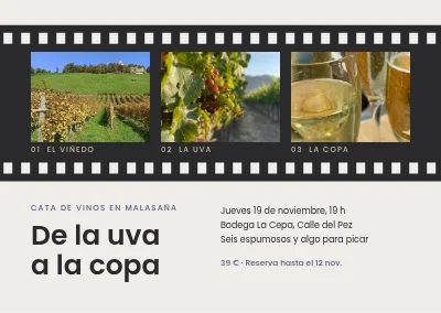 Cata de vinos — tira de película