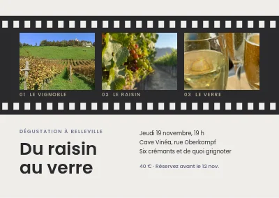 Dégustation de vins — pellicule