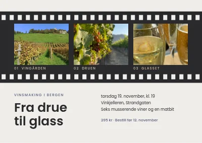 Vinsmaking — filmstrimmel