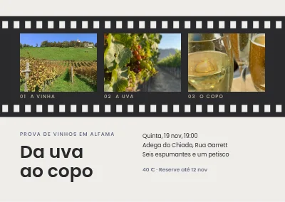 Prova de vinhos — tira de filme