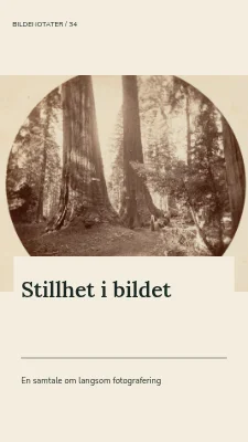 Stillhet i bildet · Panoramakort