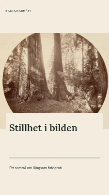 Stillhet i bilden · Panoramakort