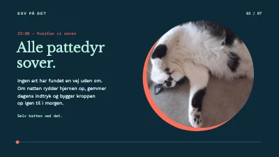 Side 3 af Søvnforedrag — én nat på syv dias