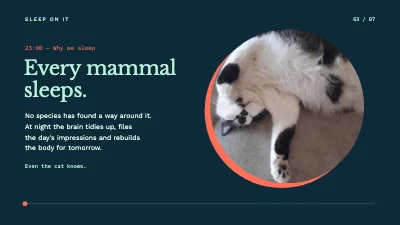 Page 3 of Sleep talk — one night in seven slides