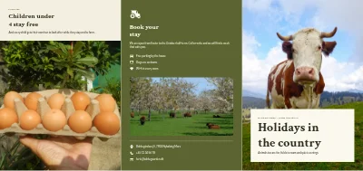 Farm holidays in the country