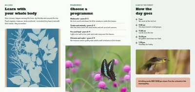 الصفحة 2 من Nature school and outdoor learning