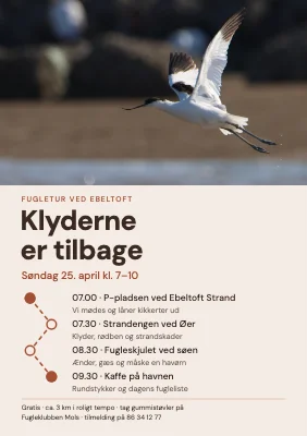 Fugletur — klyderne er tilbage