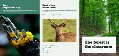 Nature school and outdoor learning