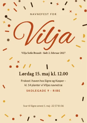 Navnefest med konfetti — Ribe