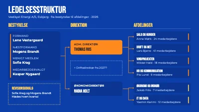 Ledelsesstruktur fra bestyrelse til afdelinger