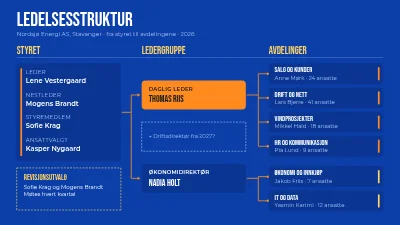 Ledelsesstruktur, fra styre til avdelinger