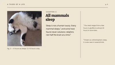Page 4 of Talk on sleep — a third of a life