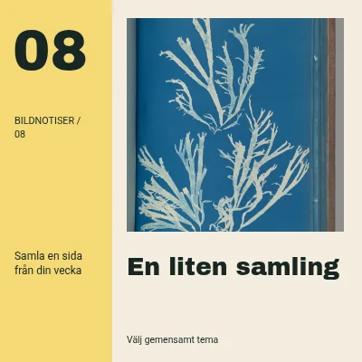 En liten samling · Stort register