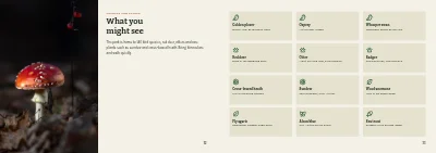 Pages 32–33 of Hiking guide to a national park – 48 pages