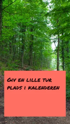 Side 3 af Grønne pauser · Papirklipessay