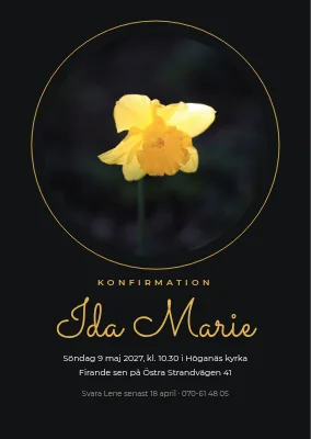 Konfirmation — påsklilja i svart och guld
