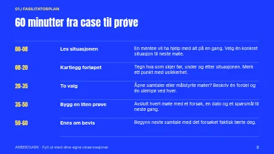 Side 2 av Mentoring med retning