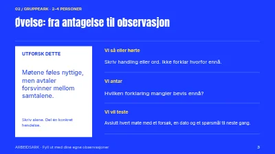 Side 3 av Mentoring med retning