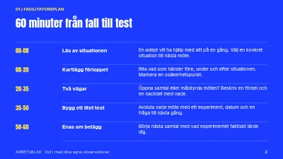 Sida 2 av Mentorskap med riktning
