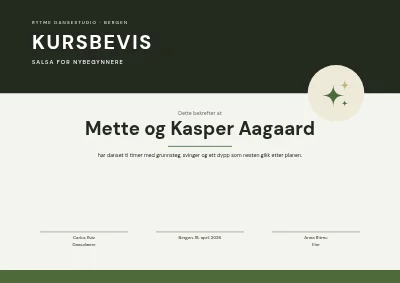 Kursbevis — salsa