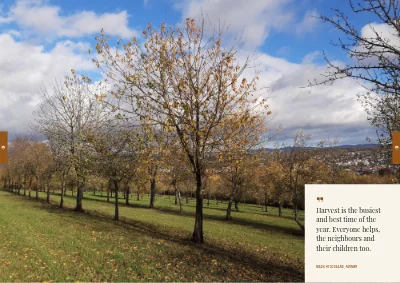 Pages 62–63 of Cookbook for a farm shop – 96 pages