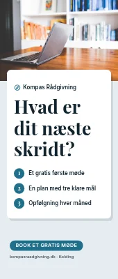 Roll-up til virksomhedsrådgiver — næste skridt