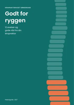 Patientguide fra kiropraktor – 16 sider