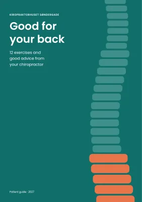 Patient guide from a chiropractor – 16 pages