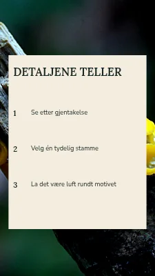Side 2 av Trærnes arkiv · To kolonner