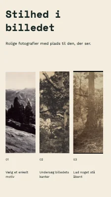 Stilhed i billedet · Tre billeder
