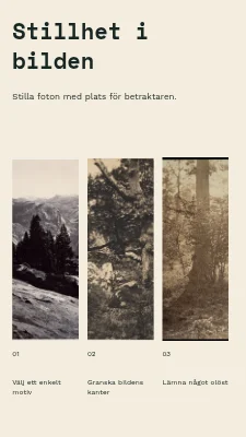 Stillhet i bilden · Tre fotografier