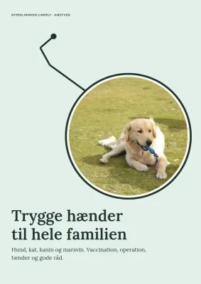 Klinikbrochure for dyrlæge – 12 sider