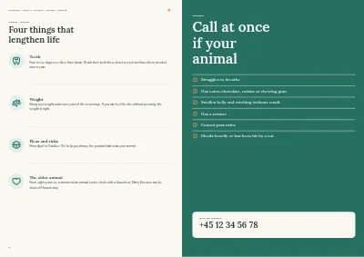 Pages 8–9 of Clinic brochure for a veterinary practice – 12 pages