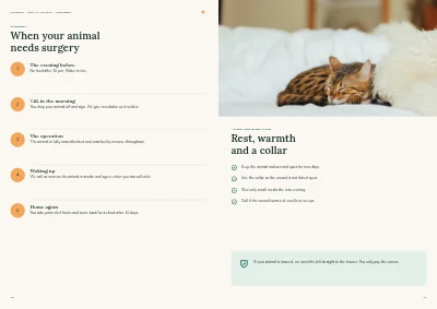 Pages 10–11 of Clinic brochure for a veterinary practice – 12 pages