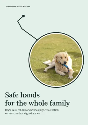 Clinic brochure for a veterinary practice – 12 pages