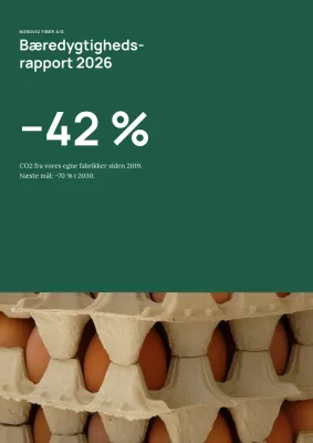 Bæredygtighedsrapport for produktionsvirksomhed – 48 sider