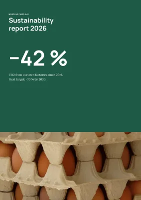 Sustainability report for a manufacturer – 48 pages