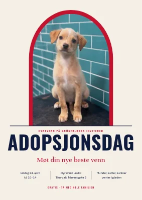 Adopsjonsdag hos dyrevernet